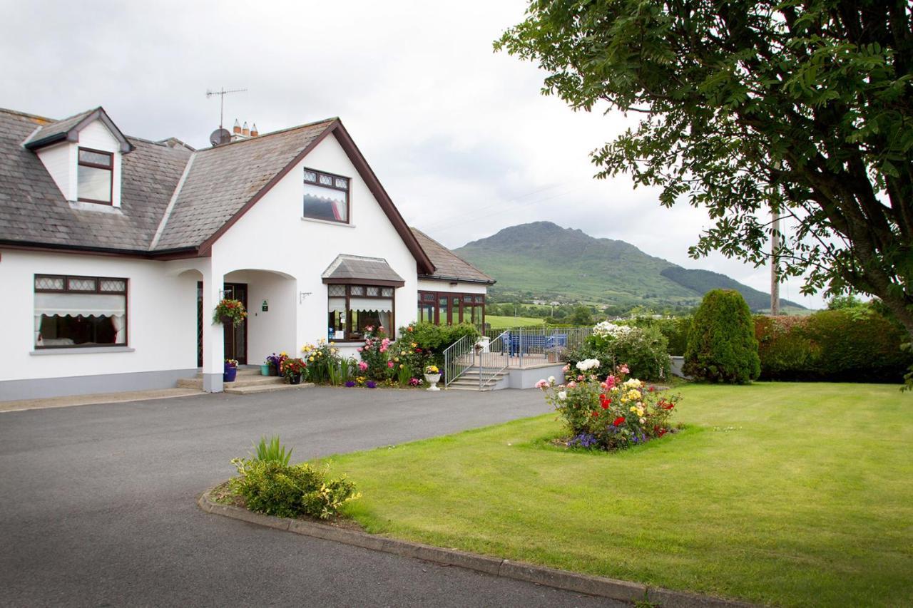 Mourneview B & B Carlingford Eksteriør billede