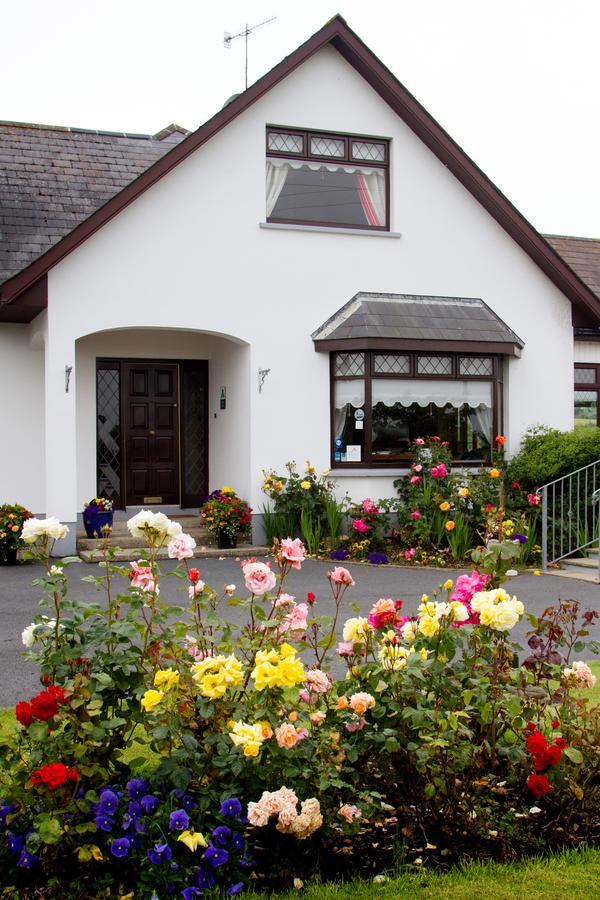 Mourneview B & B Carlingford Eksteriør billede
