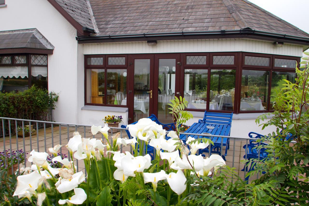 Mourneview B & B Carlingford Eksteriør billede