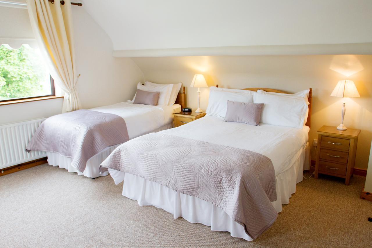 Mourneview B & B Carlingford Eksteriør billede