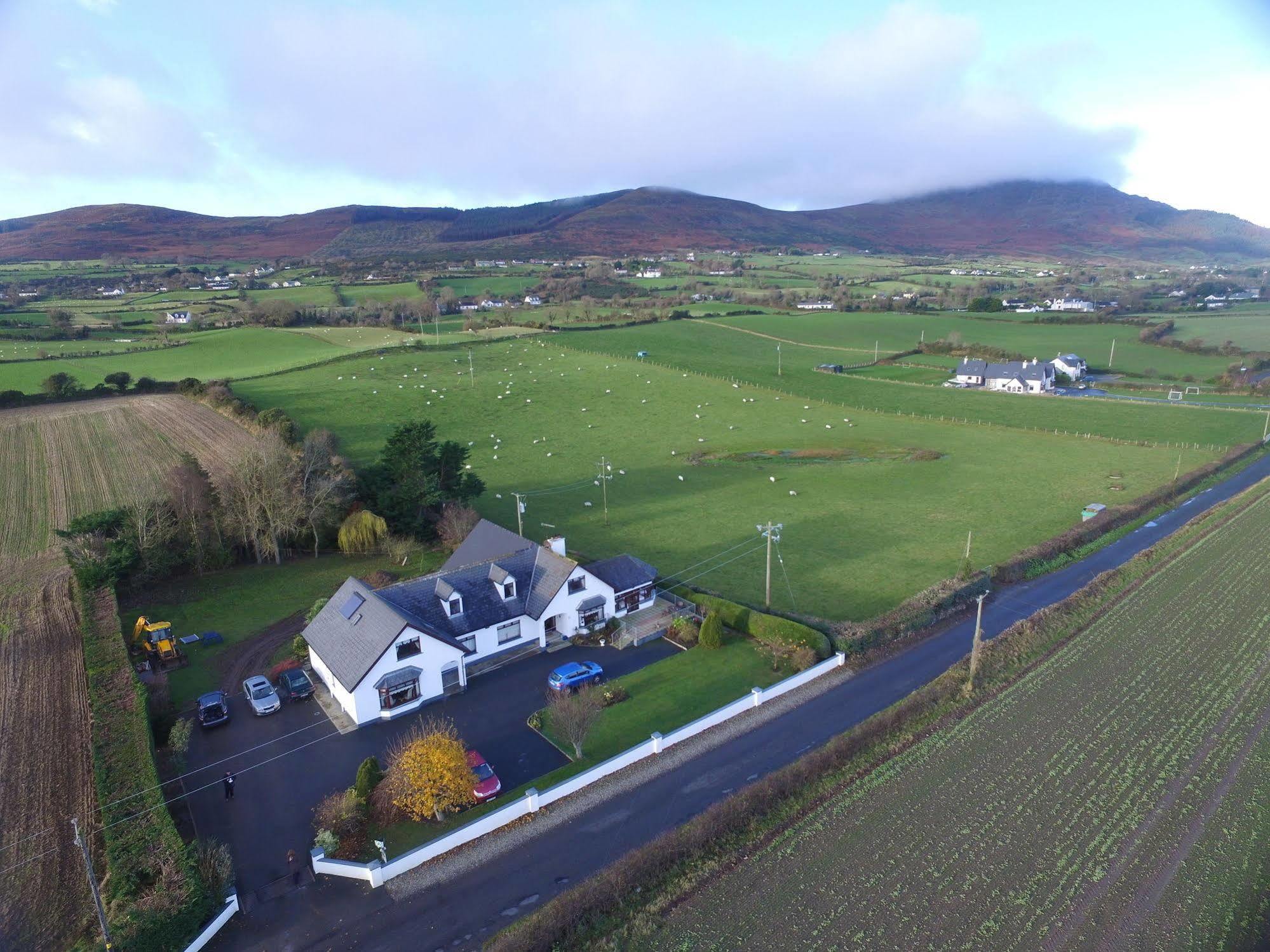 Mourneview B & B Carlingford Eksteriør billede