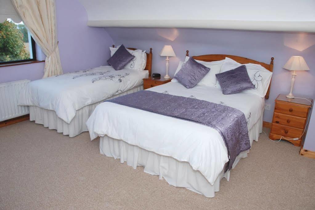 Mourneview B & B Carlingford Eksteriør billede
