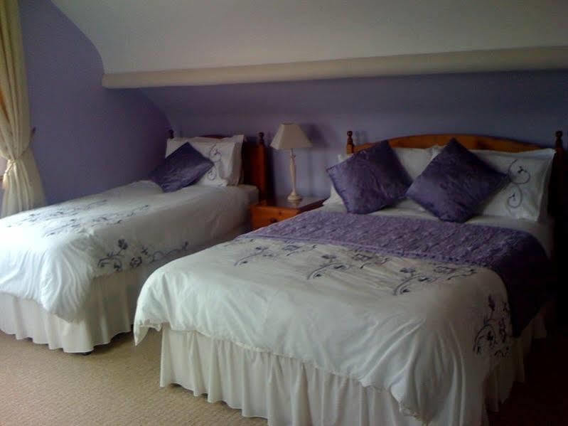 Mourneview B & B Carlingford Eksteriør billede