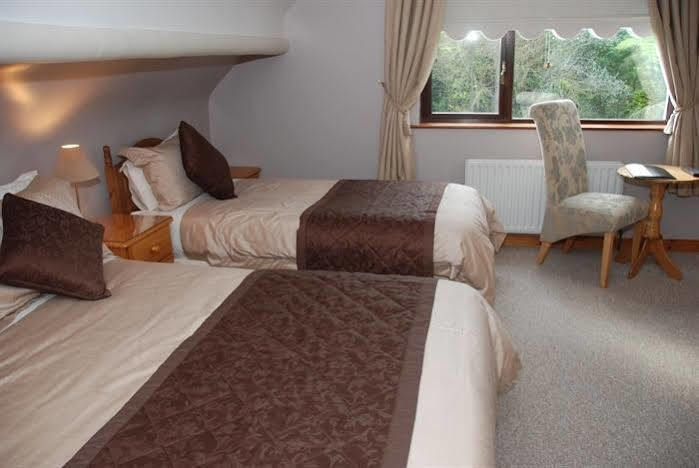 Mourneview B & B Carlingford Eksteriør billede