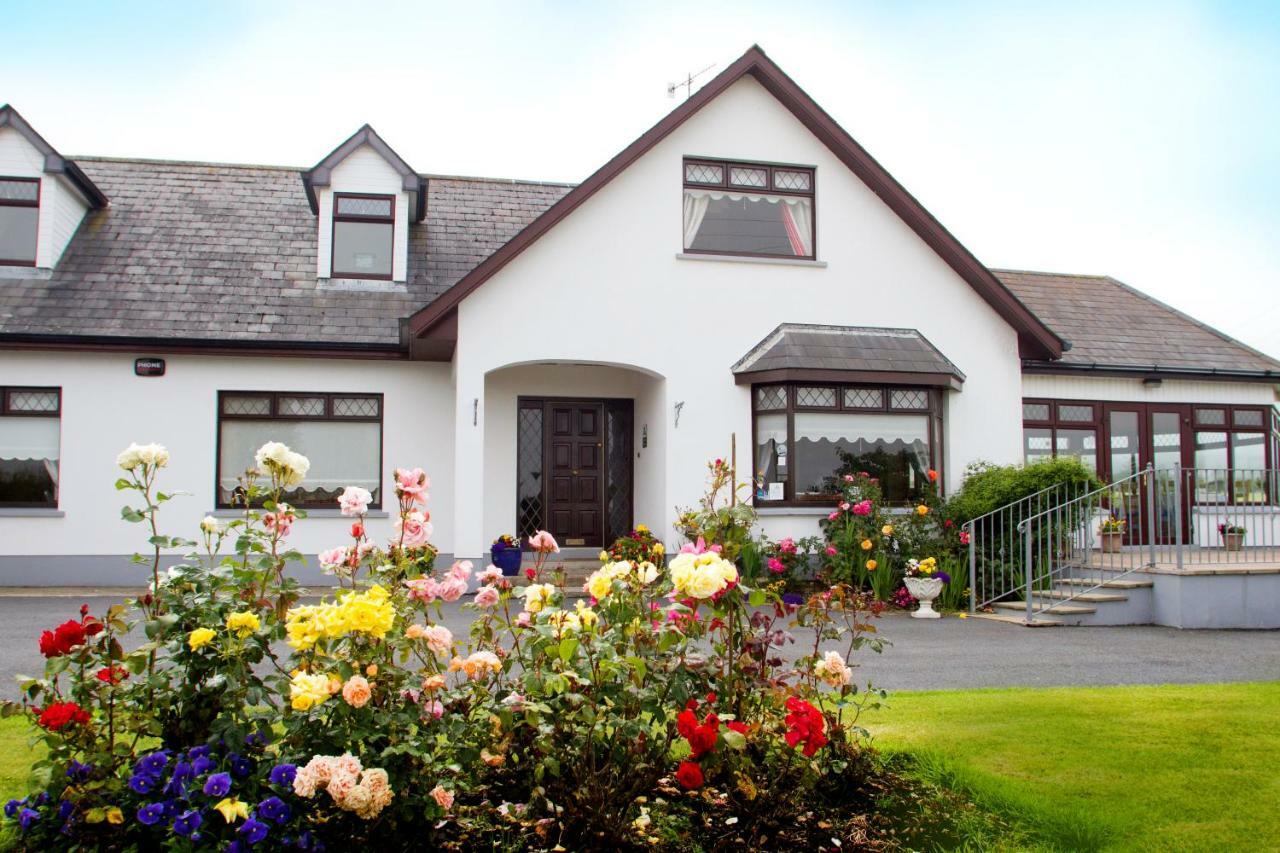 Mourneview B & B Carlingford Eksteriør billede