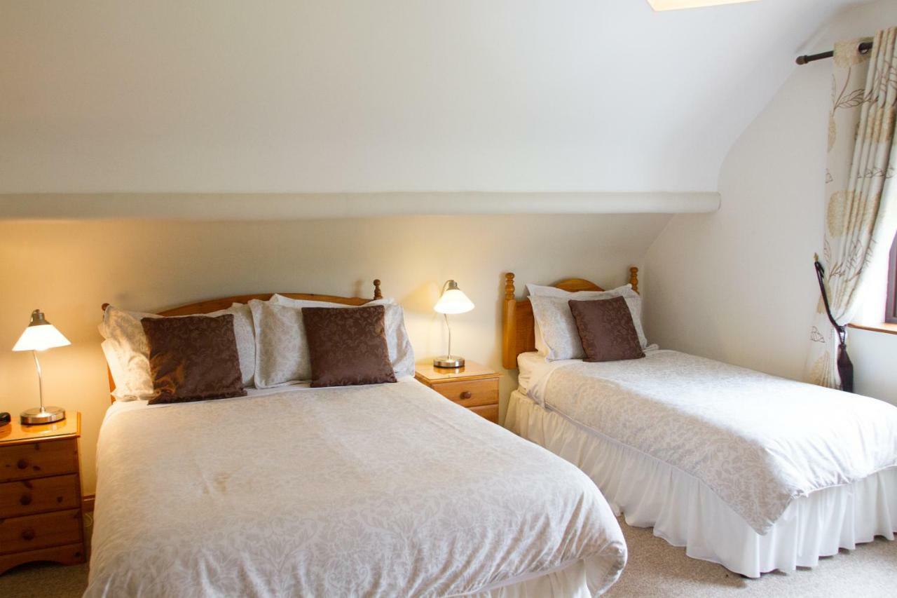 Mourneview B & B Carlingford Eksteriør billede